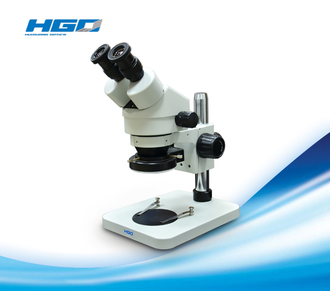 Zoom Stereo Microscope