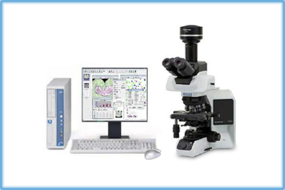 Harness Terminal Measuring System